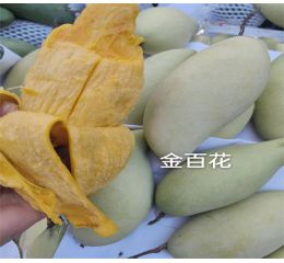 攀枝花芒果