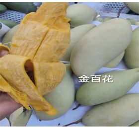 攀枝花芒果